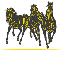 https://www.sariatli.com/Sarıatlı İnşaat A.Ş